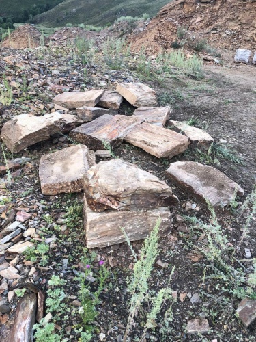 Плитняк кора дерева 50-100мм для пошаговых дорожек купить в Долгопрудном